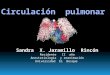 Circulacion  Pulmonar