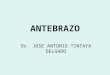 Clase N°4 Anatomia Humana - Tema: Ante Brazo