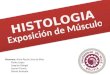 Presentación de histologia -  Tejido Muscular