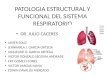 Patologia estructural y funcional del sistema respiratorio