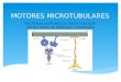 Motores microtubulares