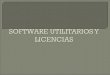 Software Utilitario Y Licencia