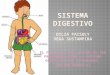 Sistemas Digestivo