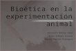 Bioética en la experimentación animal
