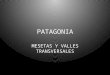 imagenes de las mesetas y valles de la patagonia