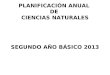 Planificacion anual ciencias naturales segundo año 2013