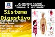 Universidad yacambú=sistema digestivo=telma mejía