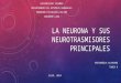 La neurona y los neurotrasmisores principales