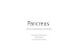 Pancreas Generalidades