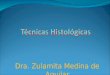 Histología: Técnicas histológicas