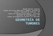 Geometría de tumores