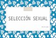 Selección sexual
