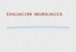 Semiologia del sistema nervioso