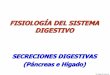 7.secreciones digestivas   páncreas