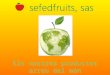 Presentació   promoció sefed fruits - blog