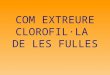 COM EXTREURE CLOROFIL·LA DE LES FULLES!