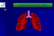 Semiología del aparato respiratorio
