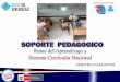 Soporte Pedagogico y los pp.ff.  ccesa007
