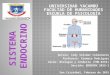 Sistema endocrino generalidades soly 2