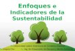 Enfoques e indicadores de la sustentabilidad