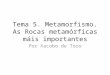 Tema 5.metamorfismo. con audio final