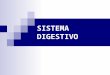 10) digestivo