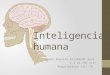 inteligencia humana