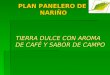 Plan panelero de_nari_o_presentacion