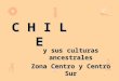 Pueblos originarios-de-chile-zona-cetro