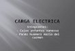 Carga Electrica 1
