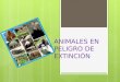 Animales diapositivas ept