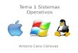 Sistemas Operativos : Windows 7