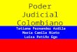 Poder judicial colombiano