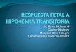 Respuesta fetal a hipoxemia transitoria