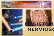 Introducción al Sistema nervioso 1