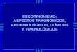Escorpiones clase cevap1(MATERIAL DE LEONARDO DE SOUSA)
