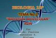 Tema 1   biologia molecular