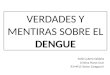 (2015-06-04) Verdades y mentiras sobre el dengue (ppt)