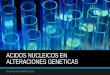 Acidos nucleicos-en-alteraciones-geneticas