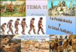 Tema 11 prehistoria y edad antigua