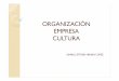 Cultura, empresa y organizacion