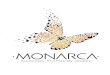 Accesorios De Flores Y Alas De Mariposa - Monarca Accesorios