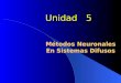 INTRODUCCION Métodos Neuronales En Sistemas Difusos