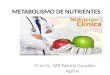 Metabolismo de nutrientes diapositivas