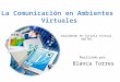 La Comunicación en Ambientes Virtuales