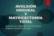 Avulsión ungueal y matricectomía total