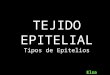 Tejido Epitelial - Tipos de Epitelios