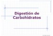 12.digestión y absorción  de ch