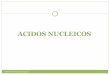 Acidos nucleicos