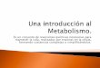 5. una introducción al metabolismo